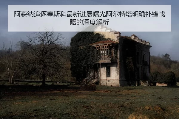 阿森纳追逐塞斯科最新进展曝光阿尔特塔明确补锋战略的深度解析