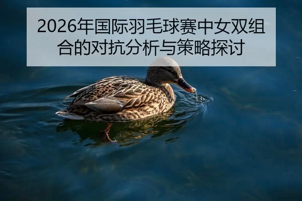2026年国际羽毛球赛中女双组合的对抗分析与策略探讨