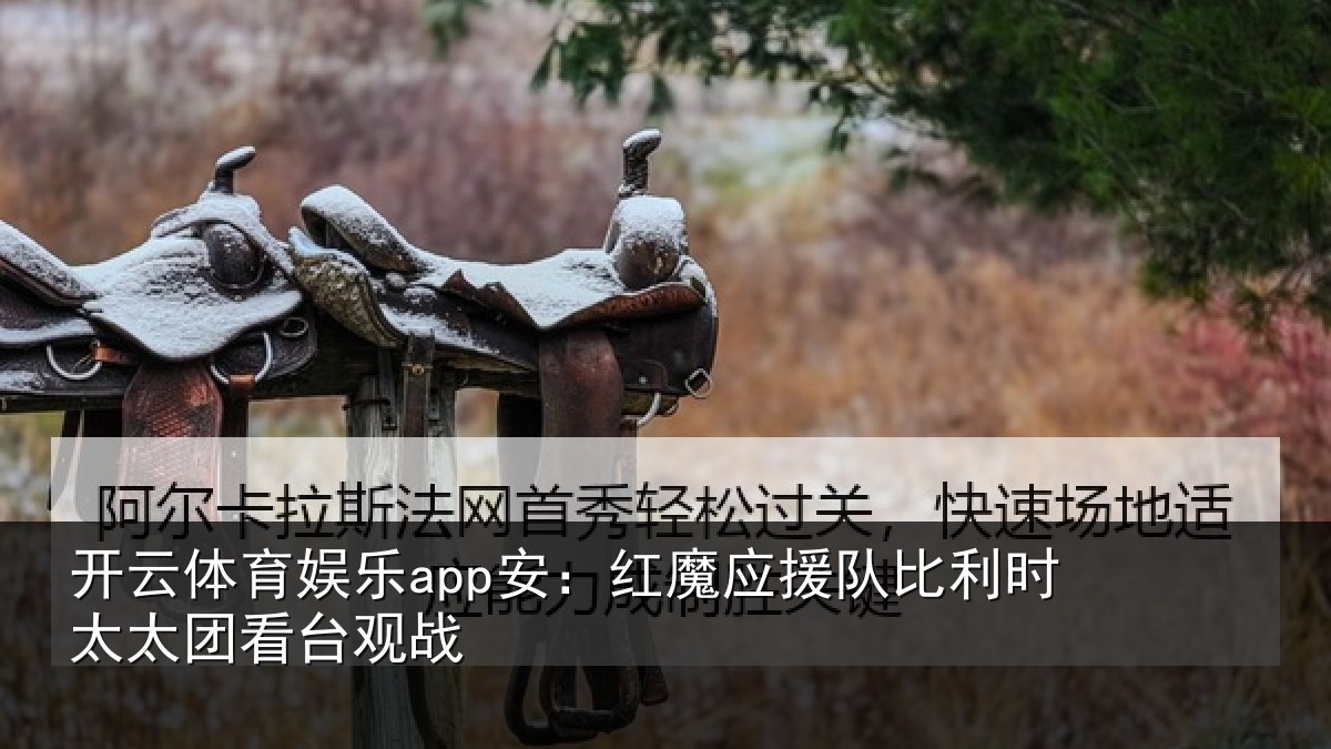 开云体育娱乐app安：红魔应援队比利相关情况