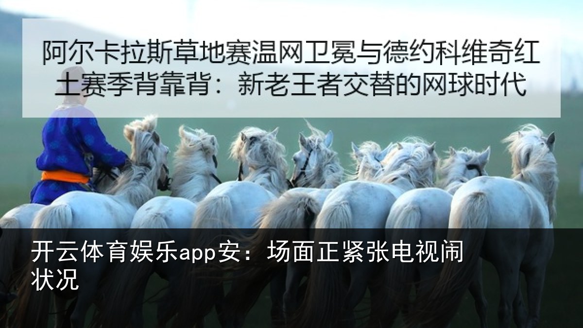 开云体育娱乐app安:场面正紧张电视闹状况